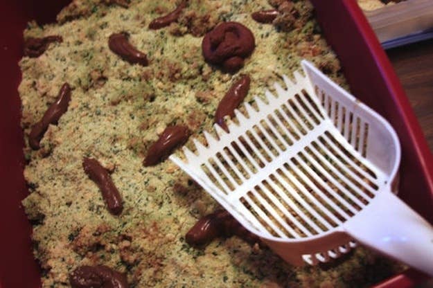 19 Gross Dessert Ideas To Make A Sick Halloween