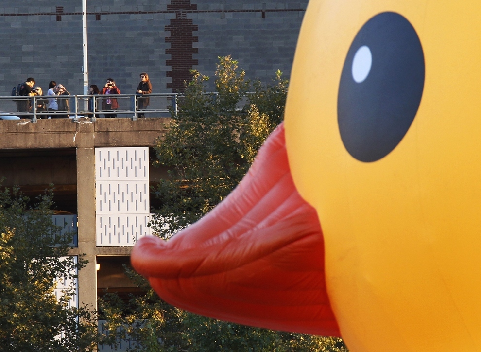 World's Largest Rubber Ducky Makes Its American Debut In Pittsburgh ...