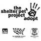 The Shelter Pet Project profile picture