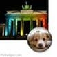 berlinerg profile picture