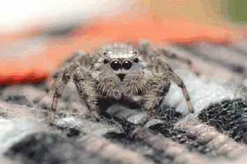 14 Things That Are Totally Not Creepy