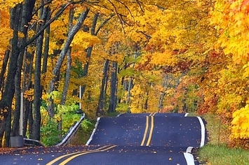 16 Reasons You Should Get Out Into The Country This Fall