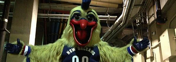 Pelicans' mascot Pierre to get new look after 'undergoing