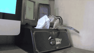 You really don't know how you or your comrades will react to your on-screen material — make sure you have all the proper "medicine" to combat the toll your TV show or movie will take on you! Tissues for sad moments, stress balls for when you can't handle the suspense, an eye mask if something gets unbearably gory, and so on...