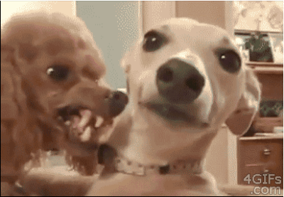 Your office spouse DOES NOT like it when you giggle with other co-workers.