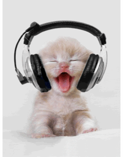 You're not dealing with ambient island noise, sorry.