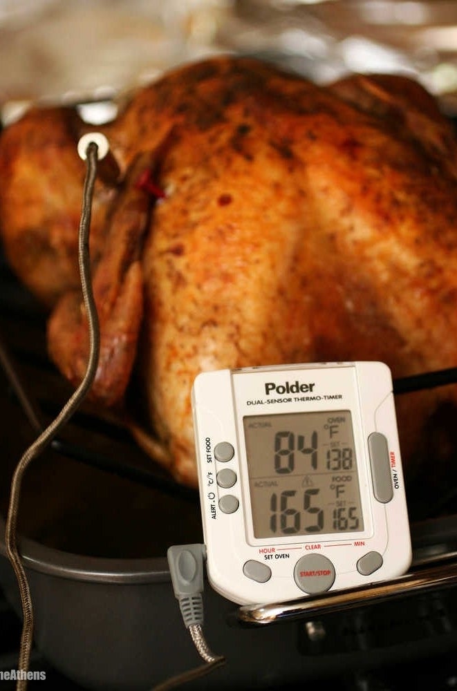 Turkey Burst Thermometer, This special edition #Thanksgiving meat  thermometer is bursting with personality. Guaranteed to perfectly incubate  your bird, or your money back!, By Alien