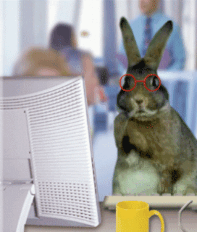 "Just reading this really important brief over here. Just so, so busy."