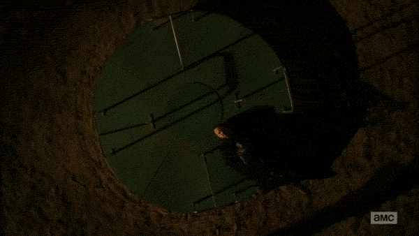 ... two and a half hours later, the playground has not lost its novelty.