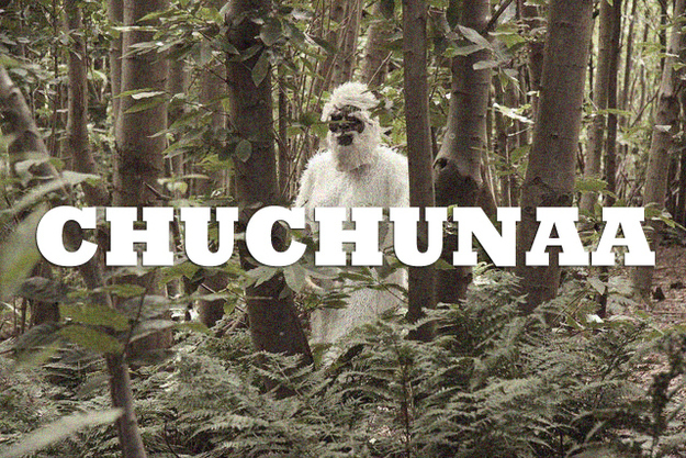 Where they've been spotted: Siberia.Characteristics: Covered with dark hair, up to seven feet tall.Other names: Chuchunya.