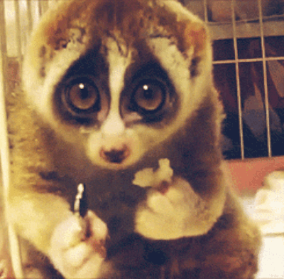 Who you think looks super cute when they chew and you spend all day thinking about it.