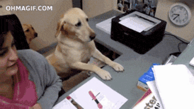 You want to be the fun guy at the office, NBD.