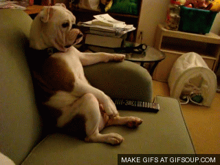 "TV, please choose a show. I am too tired and hungry to make any decisions right now."