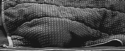 A floordrobe is what happens when you decide that your clothes are too good to hang up in a closet, or however you choose to justify your laziness.