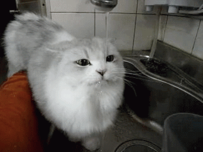 "This... is... delicious. I... am... so... full."