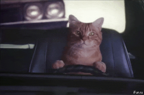 Just because the speed limit is 45 mph it really doesn't mean you have to drive that fast when there's snow and ice covering the roads; it also doesn't mean that you can brake at the last second either.