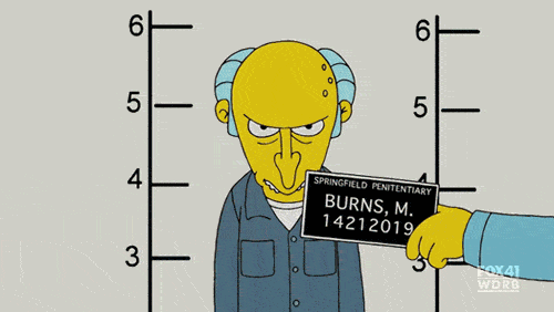 Mr. Burns.