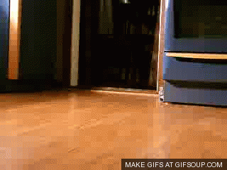 Dad and kids entering a room = puppies entering a room.