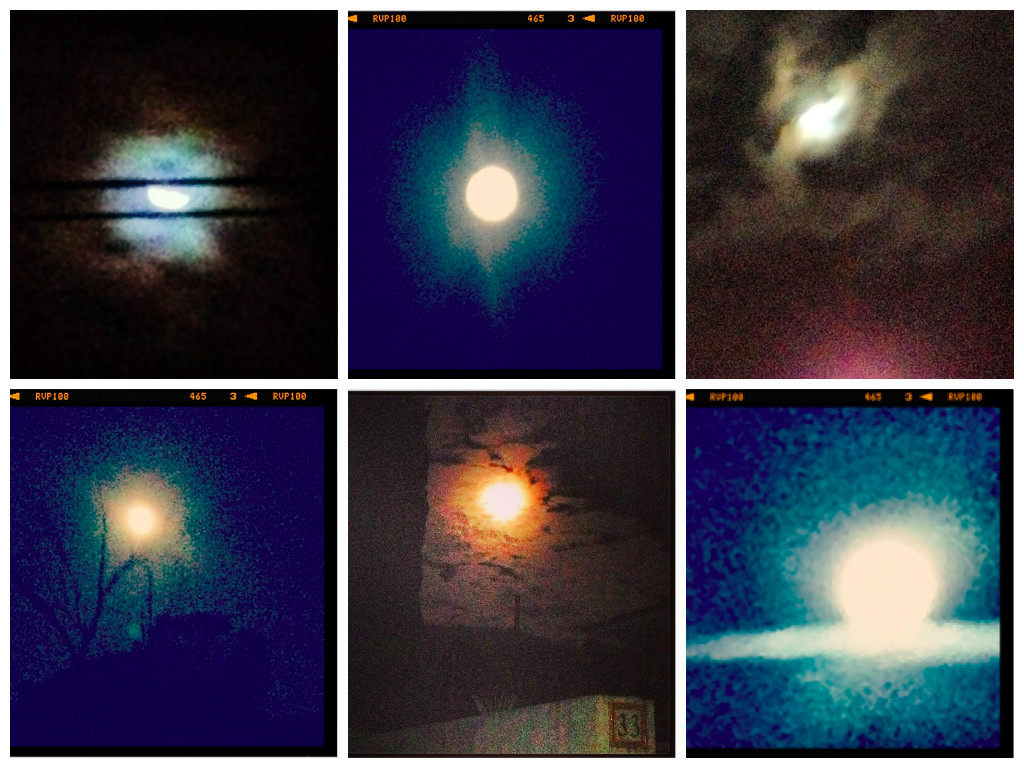 ...and she discovered a love of filters.