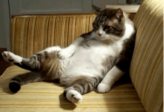 Make sure your channels are in check before you settle into your sofa! You'll want to make sure you've allowed yourself maximum access to all your wildest streaming dreams.