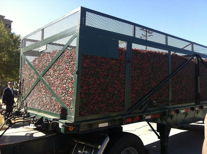A truck filled with a load of jalapeƱo chili peppers arrives at the Huy Fong Foods' Irwindale plant.