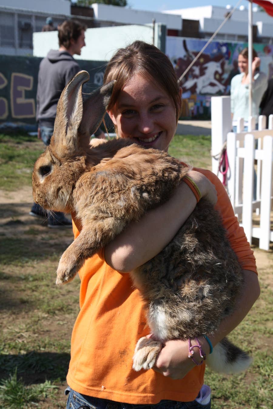 Radagast Rabbits Rhosgobel