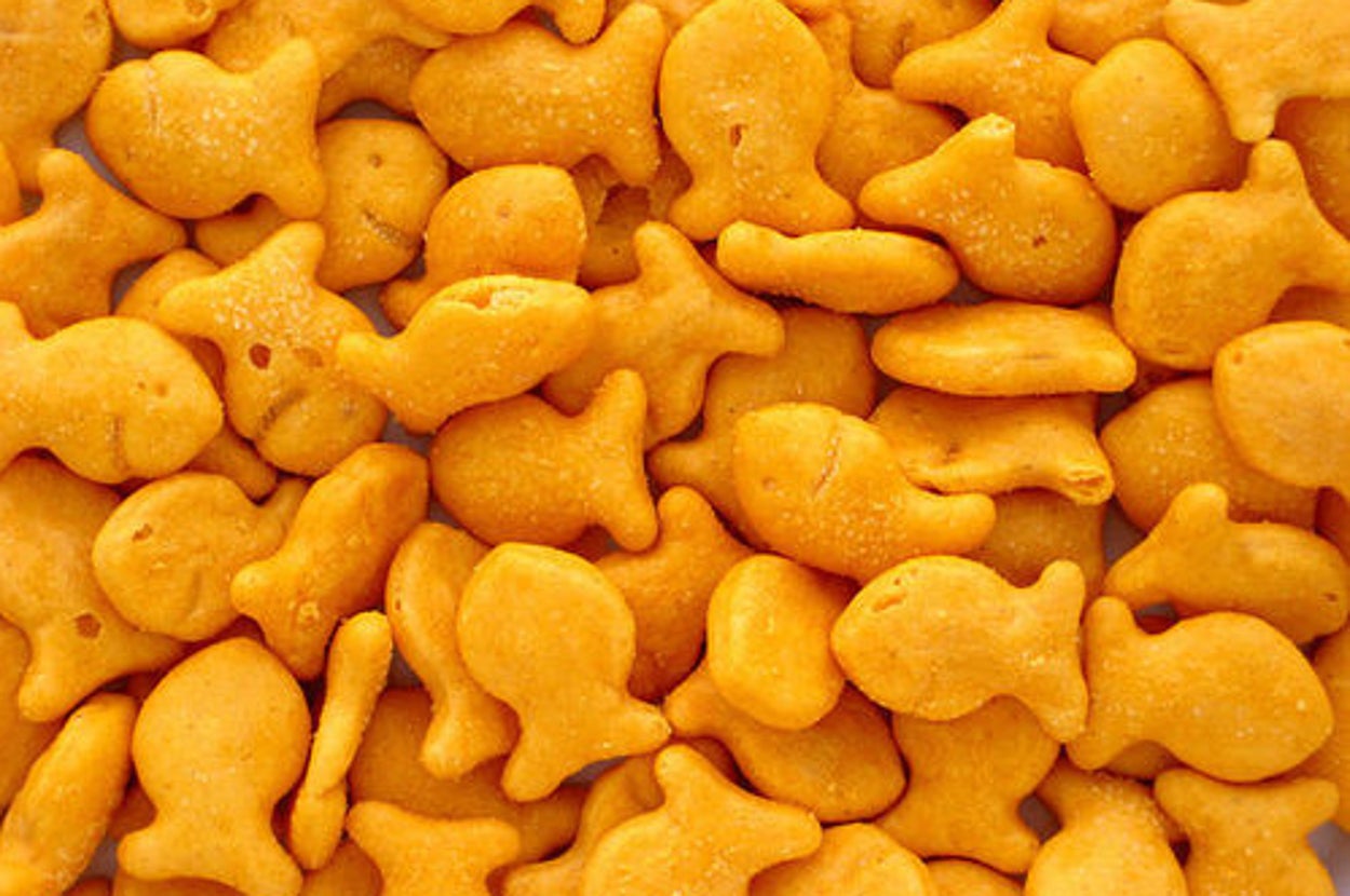 26 Signs Your Addiction To Goldfish Crackers Has Gotten Out Of Control