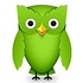 Duolingo profile picture
