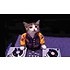 BuzzFeed profile picture for @mains