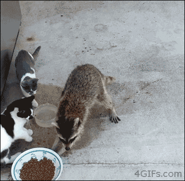 "Oh, I'm not that hungry, I'll just have a bite of whatever you'rehaving..."