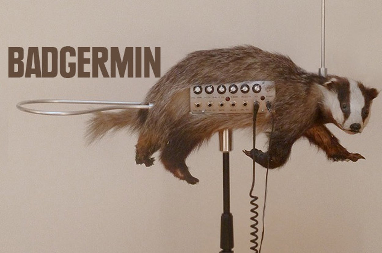 Not Known Instruments Musical Instruments You Never Knew Existed