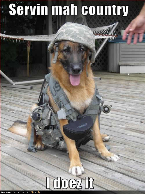 There are over 2.3 million American veterans of the Iraq and Afghanistan wars. At least 20% of those veterans suffer from PTSD and/or Depression. Moreover, 50% of those with PTSD do not seek treatment.