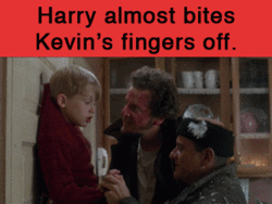 In the scene when Harry bites Kevin's finger, Joe Pesci actually bit Culkin. Apparently, he has a strong jaw.