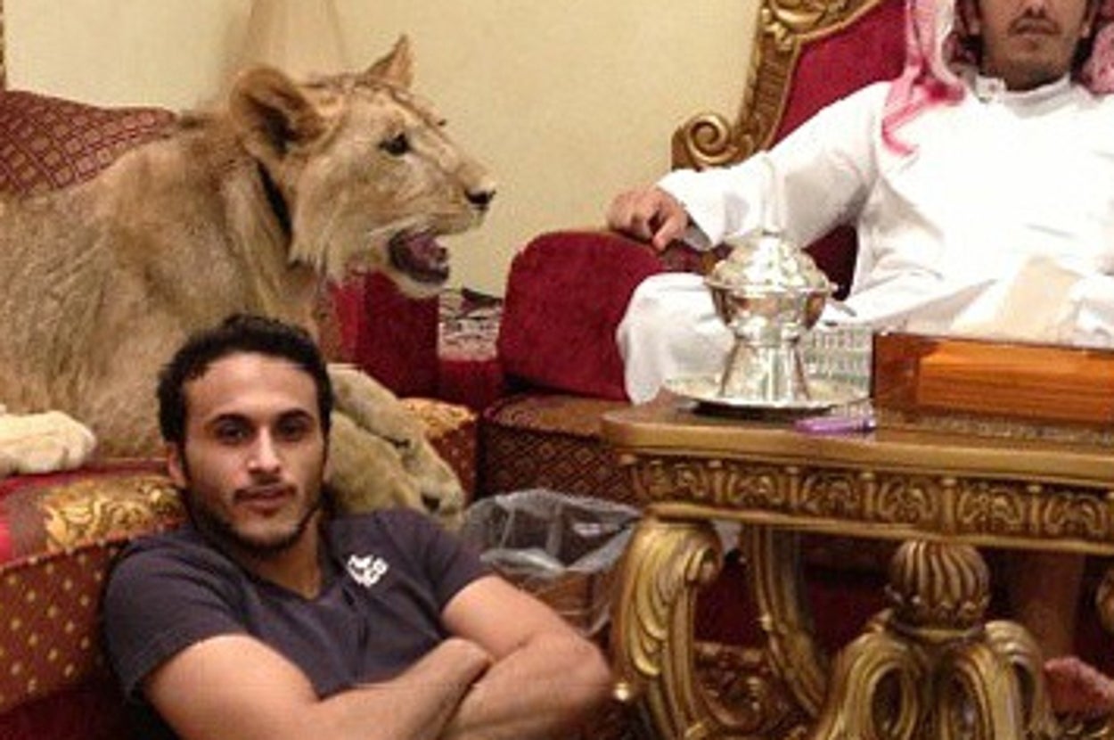 rich animal photo