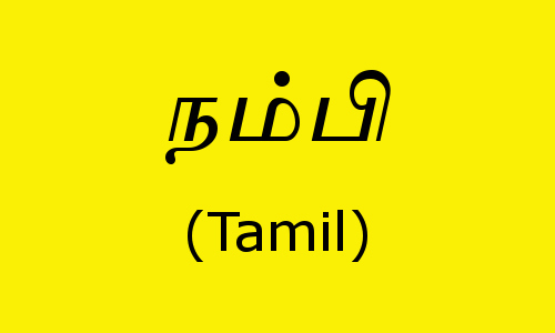 "Nampi", the Tamil word for "gay", also means "dependent". A much formal translation would be "ஓரின சேர்க்கை ஆண்" (O-rinuh ser-KHAIYAN, homosexual male).