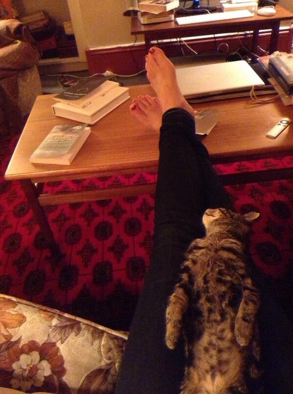 Eleanor Catton kicks back with a furry friend