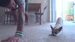 (And all kinds of yoga.)