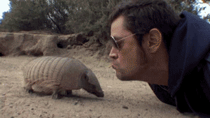 The leprosy bacterium is difficult to culture and armadillos have a body temperature of 34°C, similar to human skin. COOL!