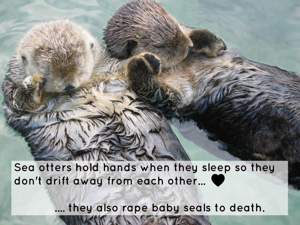 Yes. They really do. And you know what else? Dolphins are jerks too. And penguins. I used to love 'Happy Feet.'