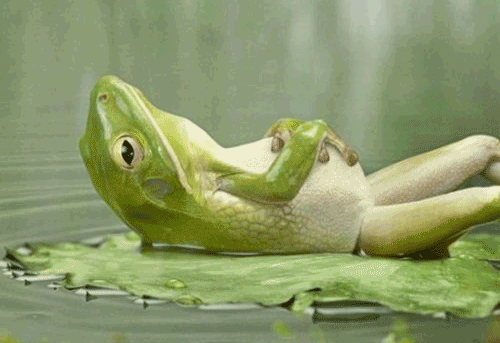 La meditación requiere de alguna inversión, pero los beneficios son incomparables. Estudios muestran que la meditación puede en realidad renovar los cerebros de quienes la practican para reducir el nivel de estrés de manera permanente, mientras aumenta los sentimientos de alegría. Aquí encontrarás una guía práctica de meditación.