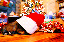 15 Reasons We Wish Christmas Lasted All Year Long