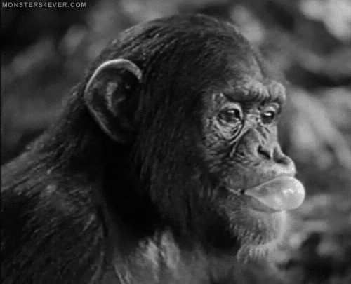 This is considered the first evidence of systematic use of weapons in a species other than humans. Terrifying? Cool? Science!