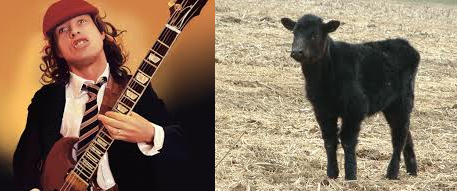 Angus young. Young Angus.