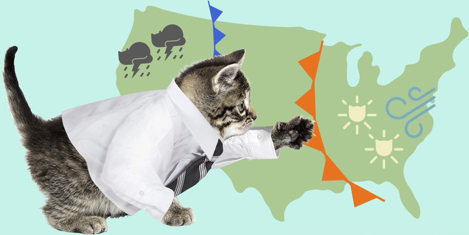 Meowrie on BuzzFeed