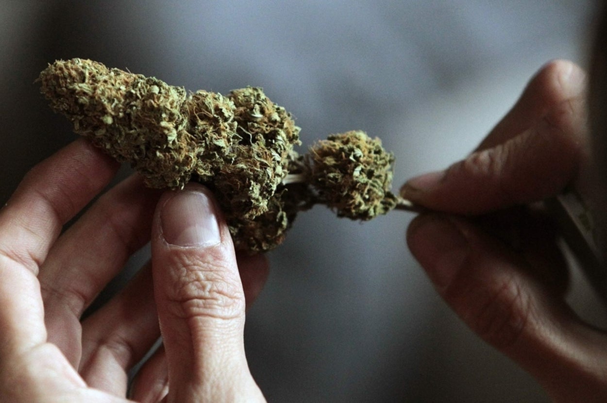 A Complete Ranking Of The Best Places To Smoke Weed In The World