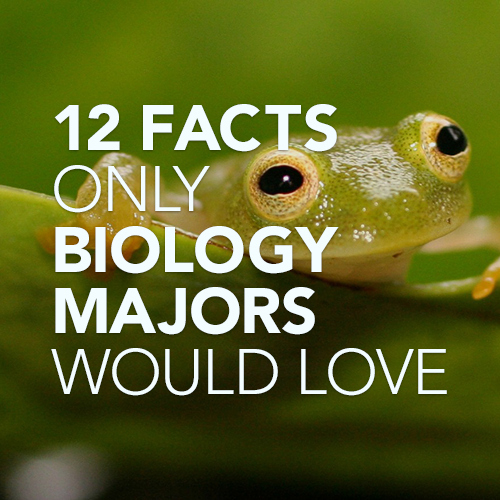 12 Facts Only Biology Majors Would Love