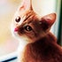 BuzzFeed profile picture for @ethereal
