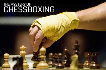 The World of Chess Boxing - Sidekick Boxing