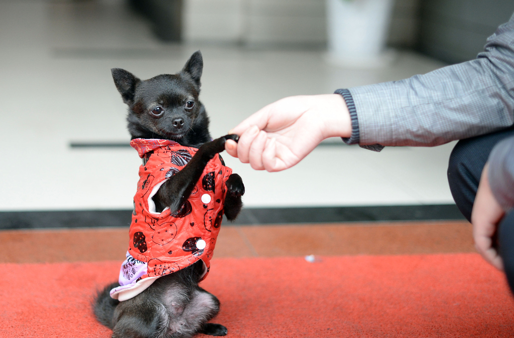 LOOK AT THAT SASS.