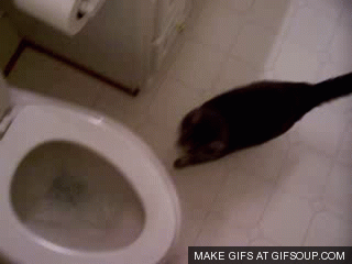 half flush…full flush.
